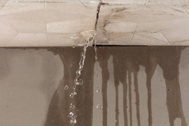 Professional Water Damage Repair technician working in Umbarger, TX